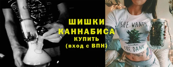 СК Елизово