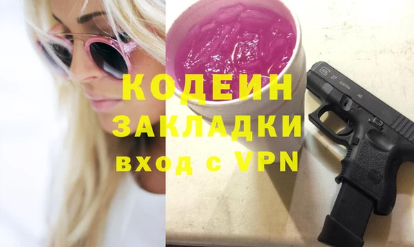 СК Елизово