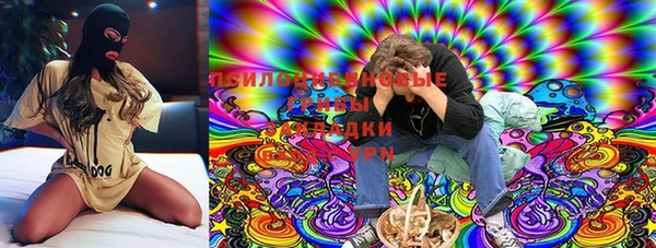бошки Елабуга