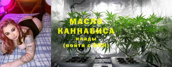 СК Елизово