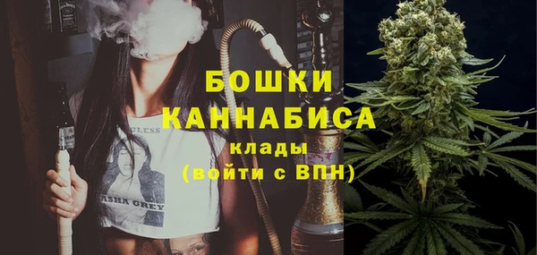 СК Елизово