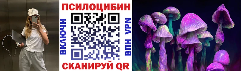 Псилоцибиновые грибы Psilocybe  Купить где  Мураши 